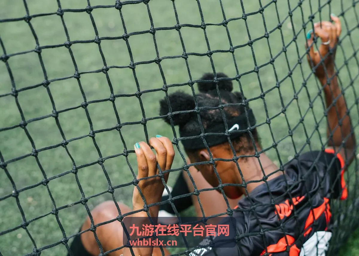 九游在线平台官网平台服务功能总览示意图