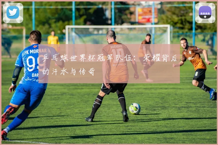 乒乓球世界杯冠军队伍：荣耀背后的汗水与传奇