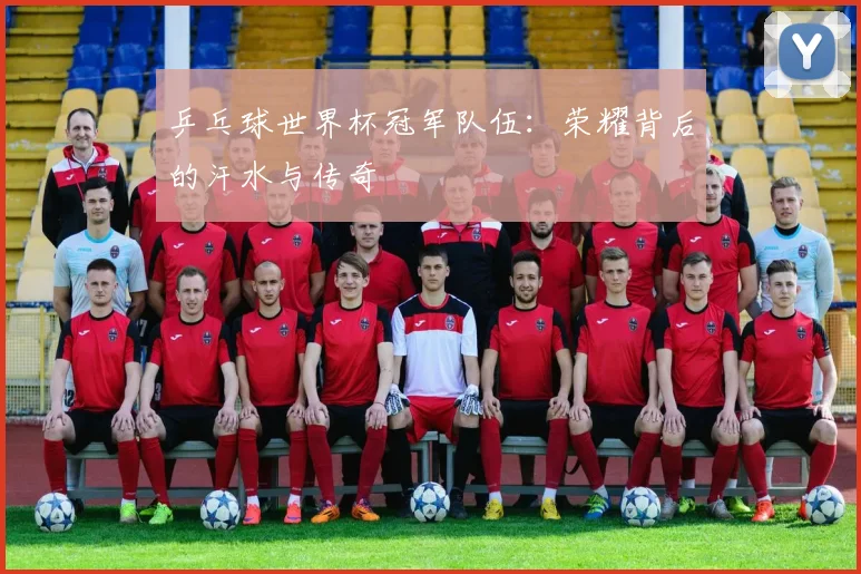 乒乓球世界杯冠军队伍：荣耀背后的汗水与传奇